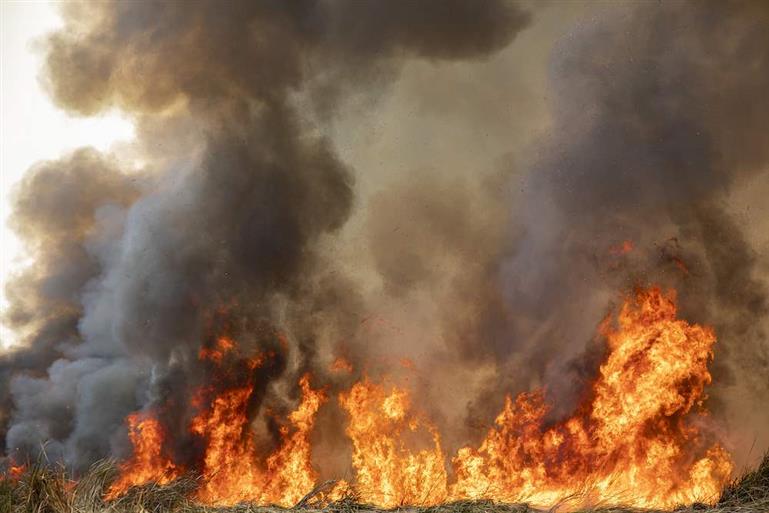 bigstock-Red-Raging-Flame-Of-Fire-Burn--366149977